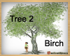 tree 2  birch