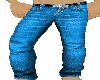 *F70 Blue Western Pants