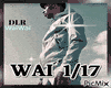 DLR - WaiWai