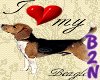 B2N - I Love My Beagle
