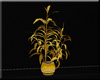 !FC! Gold Potted Plant