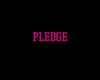 DKT Pledge Sweater