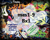 ~T~ Messiah Bx1 RM