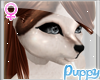 [Pup] Furry Head