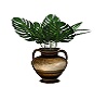 palm plant 