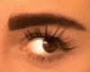 Perfect Long Eyeylashes