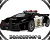 *Police Car Action  M/F