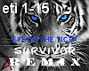 Survivor - Remix