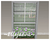 Modern Window Blinds