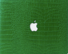 Green Macbook w/Pose