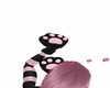 kittie paws