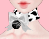 Cow choker ♥