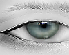 (M) New Reflect Blue Eye
