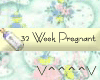 32 Weeks Pregnant (Y)