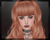 + Talina Orchid