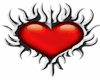 Tribal Heart