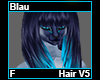 Blau Hair F V5