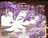 紫藤花语