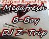 Z-Trip -Megafresh B-Boy