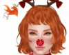 vs  reindeer nose
