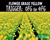 FlowerGrass  0FG to 4FG