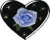 blue rose inside heart