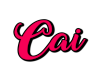CAI