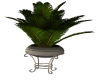 Uptown Chic Potted Plant