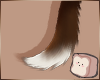 ⊹ Acorn V3