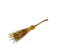 witch fly