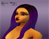 Sweety Lily Dark Purple