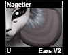 Nagetier Ears V2