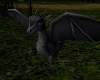 ~HD~grey baby dragon