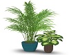 Potted Plants_03