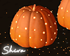 S. Halloween Pumpkins L