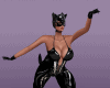 full Catwoman bundle