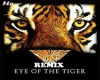 Eye of tiger remix