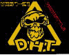 DHT virus 6