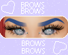 blue brows Ɛ>