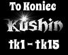 Kushin - To Koniec