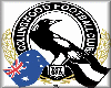 Collingwood footy song