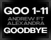 Andrew Rayel Goodbye