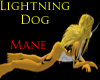 Lightning dog shiny mane