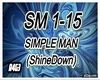 Simple Man (Metal)