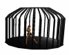 L: Caged Dancer