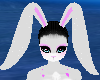 [V] Rose bunny ears 2