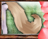 :A Miz ArchWolf Tail