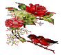 rose and birds