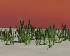 [PI] Beach Plant V2