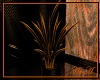 Z: Plant Animated